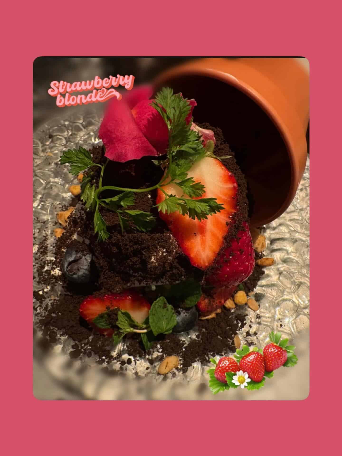 【貸切営業のお知らせ】ボタニカルガーデンサルカフェ/名古屋カフェ/貸切営業/二次会利用/いちごフェア開催中🍓