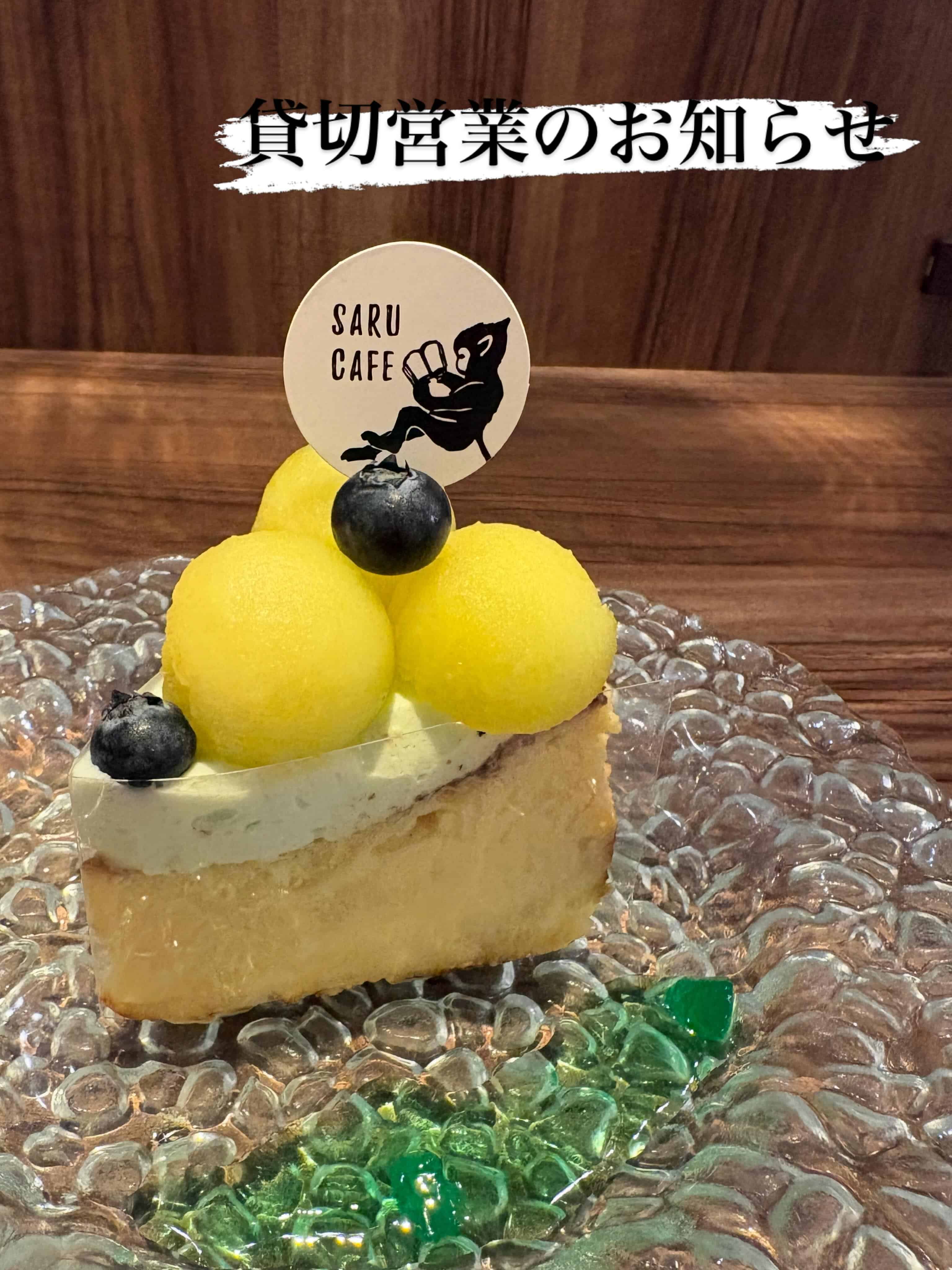 【貸切営業のお知らせ】ボタニカルガーデンサルカフェ/名古屋カフェ/貸切営業/2次会利用/🍈