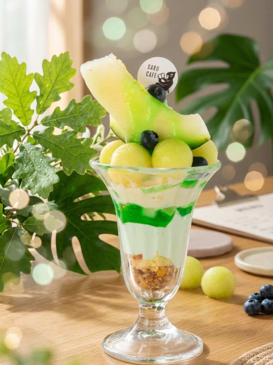 【メロンフェア開催中🍈】ボタニカルガーデンサルカフェ/名古屋カフェ/女子会/推し活/🍈